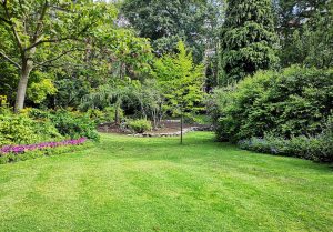 Optimiser l'expérience du jardin à Champigny-le-Sec